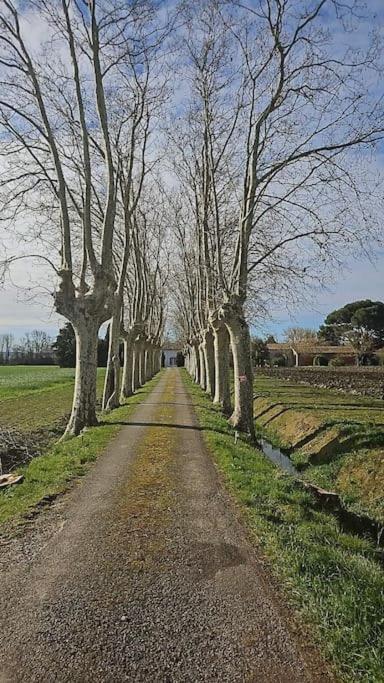 Hebergement - Canal Du Midi Saint-Martin-Lalande Екстериор снимка